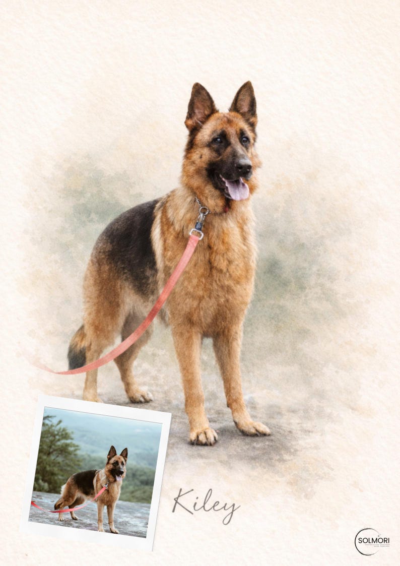 May include: A watercolor-style portrait of a German Shepherd dog with a pink leash. The dog has a black and tan coat and is standing on a light-colored surface. A smaller photo of the dog is in the lower left corner, with the name "Kiley" written below.