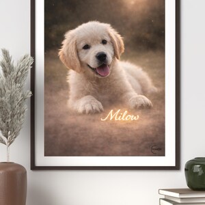 May include: A framed print featuring a Golden Retriever puppy lying down, with a soft, blurred background. The puppy has light-colored fur and is looking at the viewer with its tongue out. The name "Milow" is written in a glowing script.