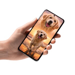 K&ouml;nnte beinhalten: Ein Smartphone zeigt ein Bild von zwei Golden Retrievern. Einer ist eine Nahaufnahme, der andere rennt bei Sonnenuntergang durch Wasser. Das Telefon wird in einer Hand vor wei&szlig;em Hintergrund gehalten.