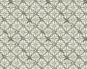 Wanderer - Art Gallery - Diamond Cloth Nopal by April Rhodes - Choose Your Cut