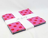 Stackers - Tula Pink 10 quot Charm Pack from Poms and Stripes Collection by FreeSpirit Fabric- 10 quot x10 quot - 42 squares