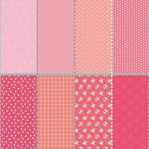May include: A patchwork design featuring eight rectangular fabric swatches in shades of pink and coral. Each swatch has a unique pattern, including floral, dotted, and geometric designs. The edges are trimmed with a decorative stitch.