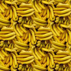 Call Me Bananas in Multi from the A La Carte Collection by Whistler Studio for Windham Fabrics - 100% Cotton