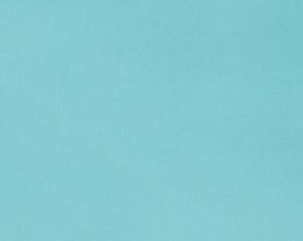 Topaz Solid Cuddle® 3 Smooth Minky Plush From Shannon Fabrics- 3mm Pile