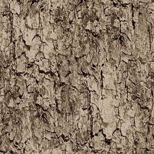 Tree Bark in Brown from Into The Nature Collection By Michael Miller Fabric- 100% Quilt Shop Quality Fabric