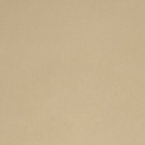 May include: A plain, light brown, textured surface.