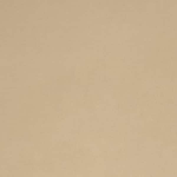 Solid Cuddle® 3 Beige Smooth Minky From Shannon Fabrics- Thick Plush Fabric