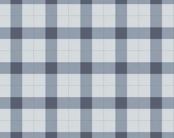 Gingham in Mist Blue van Gingham Foundry Collection door My Mind's Eye voor Riley Blake- 100% Hoge Kwaliteit Quilt Shop Katoen