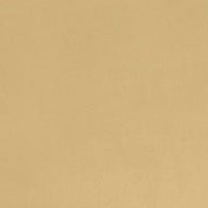 Camel Tan Solid Cuddle® 3 Smooth Minky Plush di Shannon Fabrics - Pelo da 3 mm