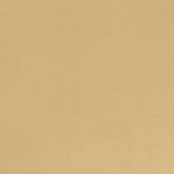 Camel Tan Solid Cuddle® 3 Smooth Minky Plush From Shannon Fabrics- 3mm Pile
