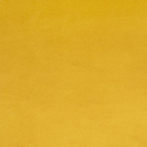 Cuddle® 3 in Gold Minky From Shannon Fabrics