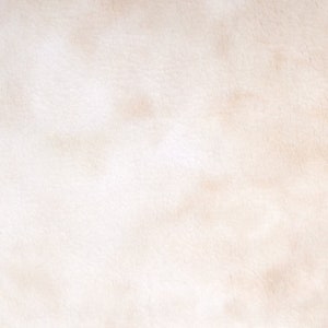 Puede incluir: Una tela de piel sintética de color crema con sutiles variaciones de tono. El material tiene un aspecto suave y texturizado, con sombras y luces suaves que crean profundidad. El efecto general es de calidez y confort.