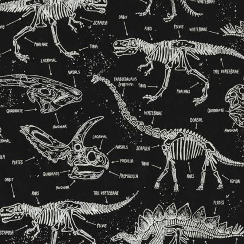 Glow in the Dark Dinosaur Skeletons from Timeless Treasure Fabrics image 1