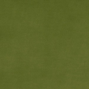 Cactus Green Solid Cuddle® 3 Smooth Minky Plush di Shannon Fabrics - Pelo da 3 mm