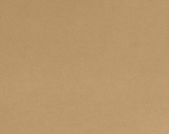 90" Extra Wide Solid Cuddle 3® in Sand Beige Minky From Shannon Fabrics- 3mm Pile