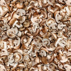 Whistler Studio が Windham Fabrics のためにデザインした A La Carte Collection の Any Way You Slice It in Mushroom - 綿 100%