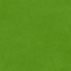 Può includere: Sfondo verde solido con una superficie leggermente strutturata.