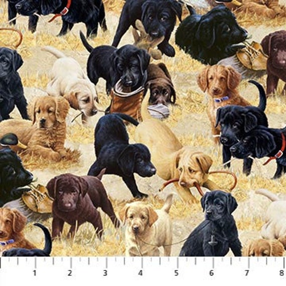 Labrador buy online discount