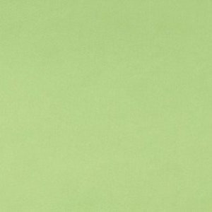 Sage Green Solid Cuddle® 3 Smooth Minky Plush From Shannon Fabrics- 3mm Pile