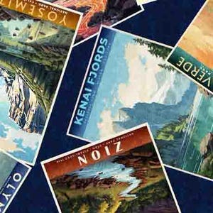 Cartoline del parco nazionale in blu navy dalla collezione On the Road Again di Morris Creative Group per QT Fabrics - 100% cotone