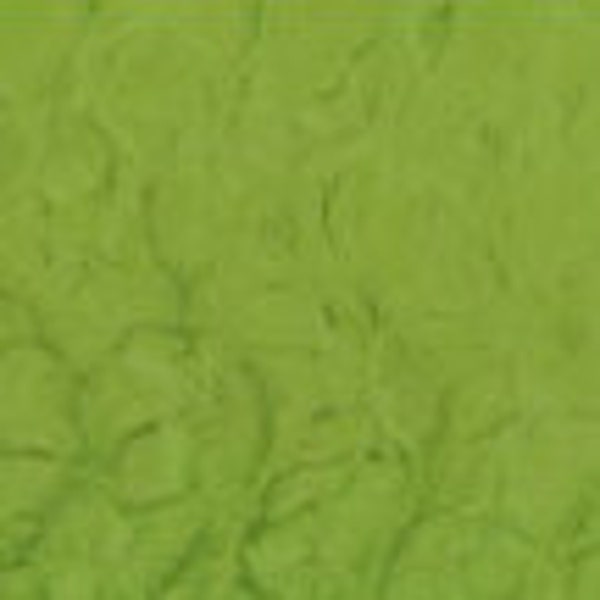 Fern Green Solid Bella MINKY Fur from EZ Snuggle Minky Collection- 15mm pile length