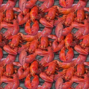 Whistler Studio による Windham Fabrics の A La Carte コレクションの Shello Lobster マルチカラー - 綿 100%