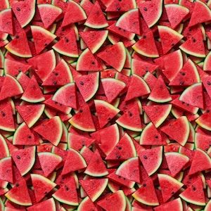 Whistler Studio による Windham Fabrics の A La Carte コレクションより、マルチカラーの Slice of Life スイカ - 綿 100%