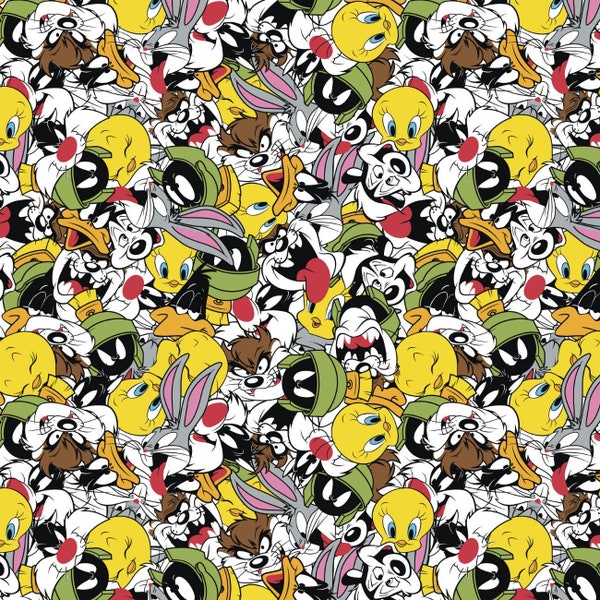 Digital Minky - Looney Tunes Party in Multi from EZ Fabrics - You Choose the Cut - 100% Polyester