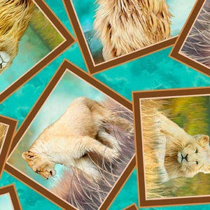 May include: A collage of images featuring white lions in various settings. The images are framed in brown and set against a turquoise background.