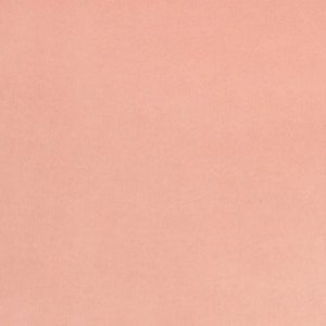 May include: A solid, rectangular, peach-colored item with rounded corners. The surface has a slightly textured appearance. The overall color is a soft, warm tone, reminiscent of a blush or light terracotta.
