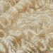 Luxe Cuddle Ocelot in Biscotti Beige MINKY Fur Fabric From Shannon Fabrics 10mm Pile- Yardage 