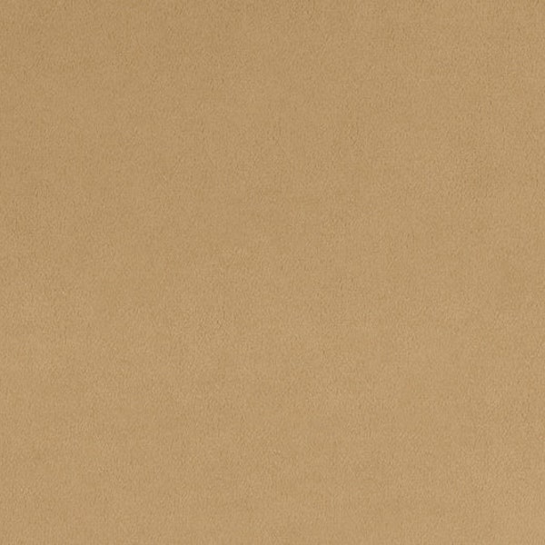 Solid Cuddle® 3 Sand Tan Smooth Minky From Shannon Fabrics