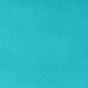May include: A solid turquoise blue background.
