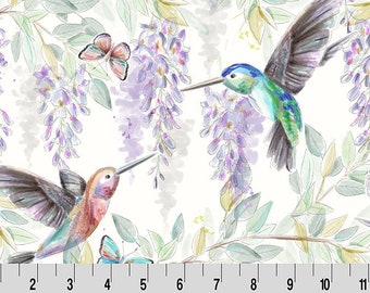 Digital Minky - Hummingbird in Multi Digital Cuddle® Minky from Shannon Fabrics - Digital Print