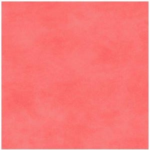 Può includere: Sfondo quadrato di colore corallo uniforme con aspetto strutturato. L'immagine presenta un colore uniforme su tutta la superficie. La texture dà l'impressione di una superficie dipinta.