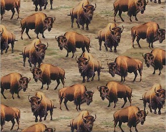 Knalltäckande bison i betesmark från Wildlife-kollektionen av Whistler Studios för Windham. Tyg 100 % bomull.