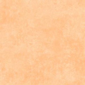 Può includere: Uno sfondo senza cuciture e strutturato in un morbido colore pesca. La superficie ha un aspetto screziato, con variazioni di tono che creano un effetto sottile e invecchiato. L'aspetto generale è caldo e invitante, adatto a varie applicazioni digitali e di stampa.