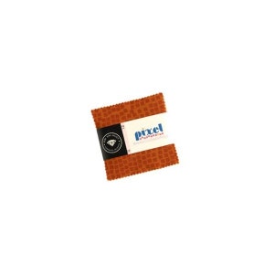 6,5 cm x 6,5 cm mini-berlockpaket 40 st - Pixel av Rashida Coleman Hale för RUBY STAR SOCIETY