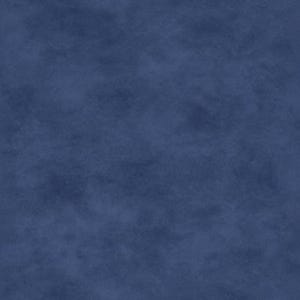 Può includere: Uno sfondo blu solido con una texture leggermente screziata.