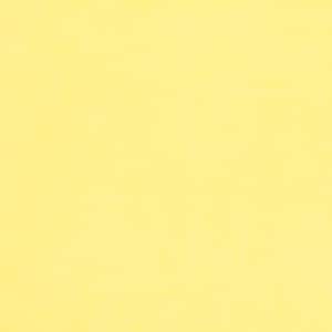 Cuddle® 3 in Banana Yellow Minky From Shannon Fabrics