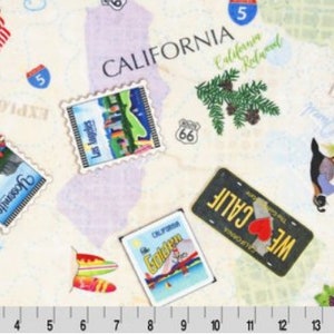 Metà grassa SOLO 30 "X 36" Dove sei stato? Peluche States Digital Cuddle® California MINKY della collezione Digital Cuddle di Shannon Fabric