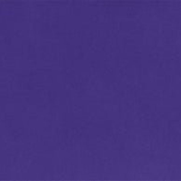 Solid Cuddle® 3 Viola Purple Smooth MINKY From Shannon Fabrics
