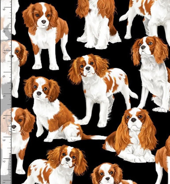 CAVALIER KING CHARLES SPANIEL dog Cool T-shirt CIRCLE OF TRUST 