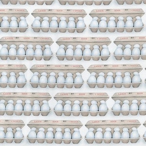 Caixas de ovos realistas da coleção Kiss the Cook para Robert Kaufman Fabric - 100% algodão Quilt Shop