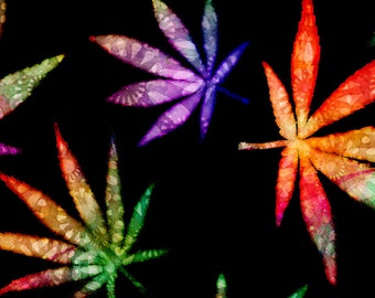 Medias Tobilleras Weed En Algodon Tejido Marihuana Cannabis Medias Tobilleras Weed En Algodon Tejido Marihuana Cannabis