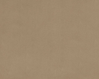Tecido Minky Suave Simply Taupe Cuddle 3® Extra Largo de 90" da Shannon Fabrics