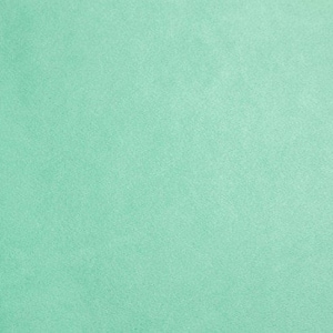 May include: A solid, light green background with a slightly textured surface.