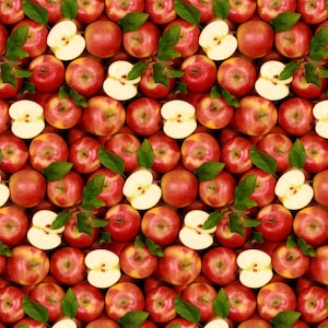 Apple A Day in Multi from the A La Carte Collection by Whistler Studio for Windham Fabrics - 100% Cotton
