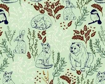 Let's Wander-Main in Mist from the Let's Wander Collection by Casey Cometti for Riley Blake 100% Cotton Fabric