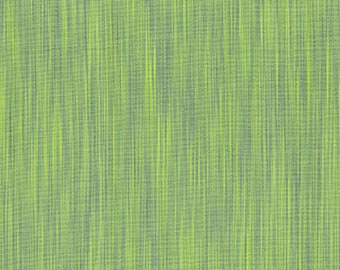 Space Dye WOVENS in Pistachio by Figo Fabrics - 100% Cotton Fabric